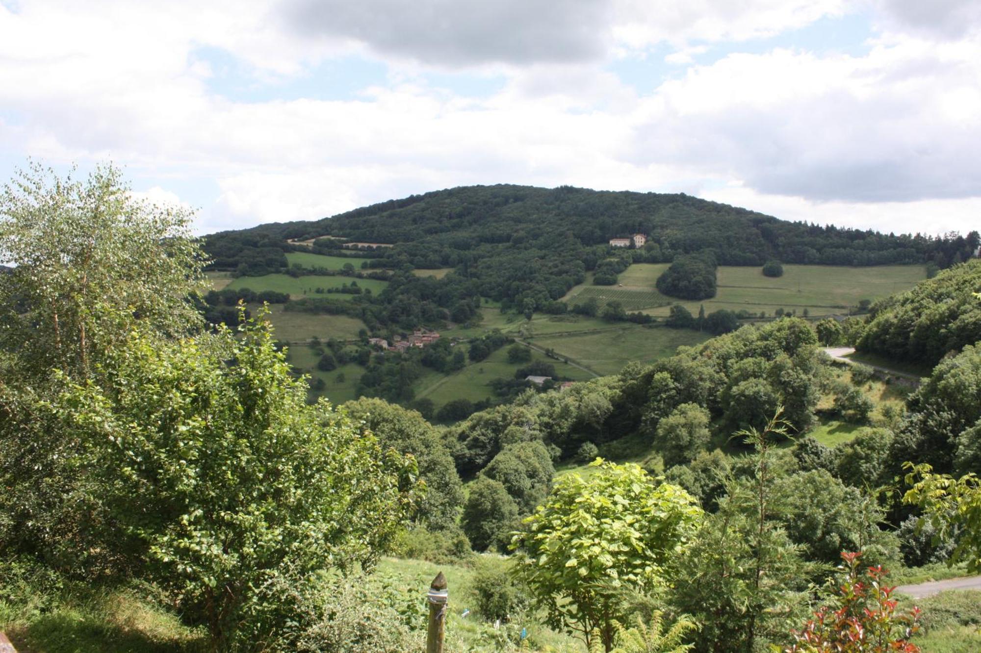Gites Des Esselards Yzeron Kültér fotó